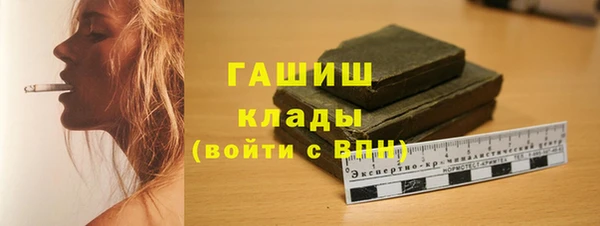 индика Заводоуковск