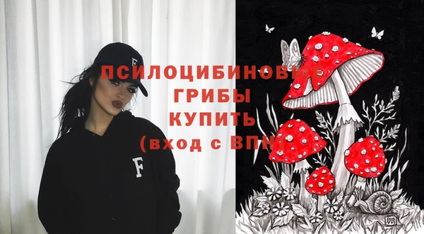 прущий лед Алексеевка