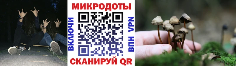 Псилоцибиновые грибы MAGIC MUSHROOMS  Лукоянов 